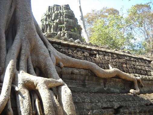 Parco archeologico di Angkor - foto Blue Lama